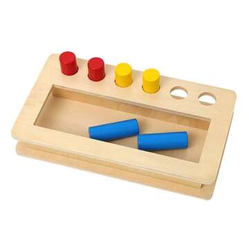 LEADER JOY Montessori Colored Cylinder Set for Toddlers