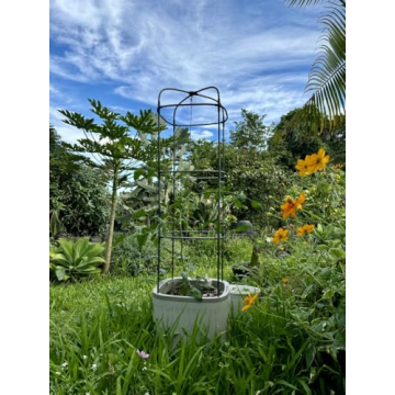 Vego Garden Eco-Friendly Self-Watering Tomato Planter