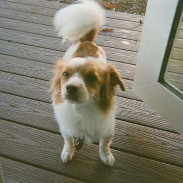 Kodak 35mm Film roll - 35 mm Film roll Color - Kodak Gold 200 35mm Film - Kodak Film 35mm roll - Camera Film roll - Film for Kodak ektar h35 Film - Kodak 200-3 Pack w/ 108 Digital Scans by Raw 135