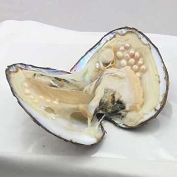 NewEGG Big Oyster Pearl Party Pearl Freshwater Cultured Oval Pearl Beads (5-7mm 28 PCs/Lot) Oysters with Pearl Inside Anniversary Decoration for Women