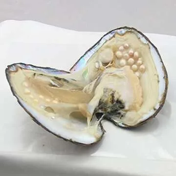 NewEGG Big Oyster Pearl Party Pearl Freshwater Cultured Oval Pearl Beads (5-7mm 28 PCs/Lot) Oysters with Pearl Inside Anniversary Decoration for Women