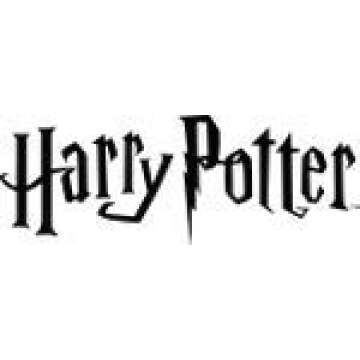 Hallmark Christmas Ornaments, Harry Potter, Hermione on Broomstick Ornament