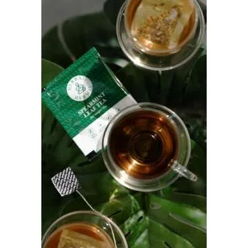 Spearmint Tea (25 Tea Bags) with Natural Spearmint Leaves Herbal Tea in Caffeine Free Easy to Use Tea Bags