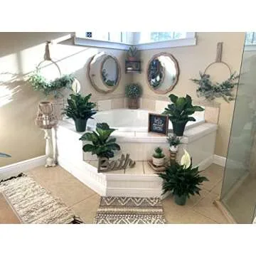 Peace Lily Plant-FriendshipFoliage's Family Farm Grown Quality Live Indoor Spathiphyllum (6" Pot, 14-18in Tall from Bottom of The Pot)…