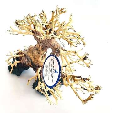 THATUWOOD Bonsai Driftwood Aquarium Tree (8in H x 6in L), Handcrafted Fish Tank Decoration | Easy to Install Driftwood Bonsai for Fish Tank | Decor Aquascape Wood (Bonsai Tree On Rocks)