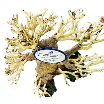 THATUWOOD Bonsai Driftwood Aquarium Tree (8in H x 6in L), Handcrafted Fish Tank Decoration | Easy to Install Driftwood Bonsai for Fish Tank | Decor Aquascape Wood (Bonsai Tree On Rocks)