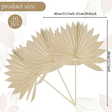 Chenkaiyang 10 Pieces Large Dried Palm Leaves Decor Sun Palm Natural Dried Palm Fans Dried Palm Spea...