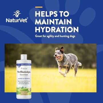 NaturVet Pet Electrolyte Concentrate for Dogs and Cats, 16 oz Liquid Concentrate, Made in The USA with Globally Source Ingredients