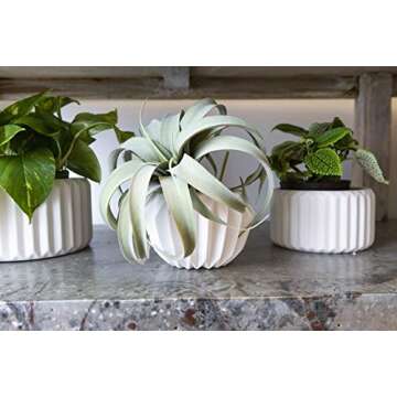 Bloomingville Various Round Fluted Stoneware Flower Pots, White, Set of 2