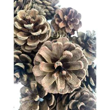 18 Inch Pinecone Wreath for Seasonal Home Decor
