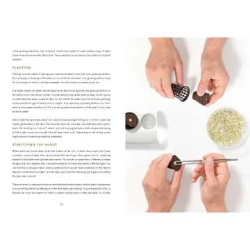 Grow Edible Hydroponic Plants at Home Easily