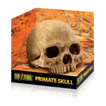 Exo Terra Primate Skull for Terrarium Décor