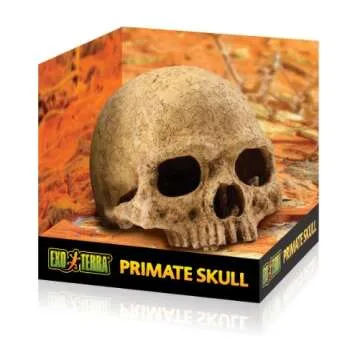 Exo Terra Primate Skull for Terrarium Décor