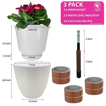 Durable Self Watering Pots for Busy Plant Lovers