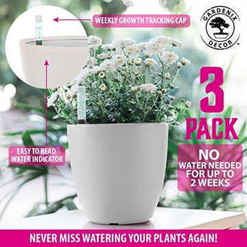 Durable Self Watering Pots for Busy Plant Lovers