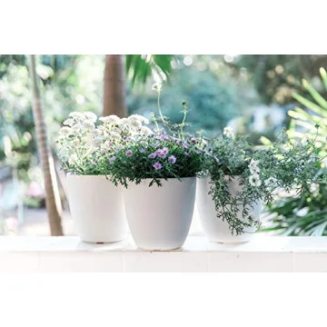 Durable Self Watering Pots for Busy Plant Lovers