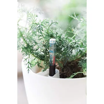 Durable Self Watering Pots for Busy Plant Lovers