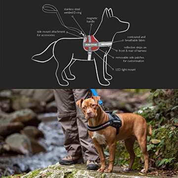 EzyDog Convert Trail-Ready Outdoor Adjustable Dog Harness - Perfect for Hiking, Walking, and Doubles as a Service Dog Vest - Superior Comfort Design with a Durable Traffic Handle (Large, Blue)