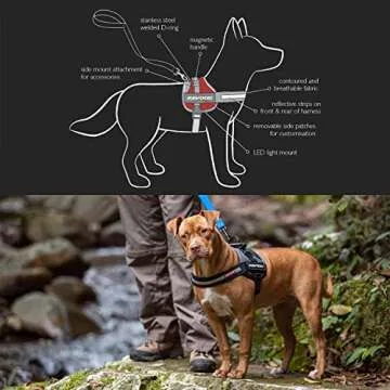 EzyDog Convert Trail-Ready Outdoor Adjustable Dog Harness - Perfect for Hiking, Walking, and Doubles as a Service Dog Vest - Superior Comfort Design with a Durable Traffic Handle (Large, Blue)