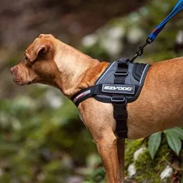 EzyDog Convert Trail-Ready Outdoor Adjustable Dog Harness - Perfect for Hiking, Walking, and Doubles as a Service Dog Vest - Superior Comfort Design with a Durable Traffic Handle (Large, Blue)