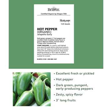 Burpee Jalapeno Early Organic Hot Pepper Seeds | 125 Non-GMO Jalapeno Pepper Garden Seeds for Planti...