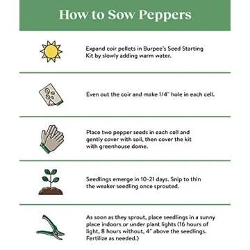 Burpee Jalapeno Early Organic Hot Pepper Seeds | 125 Non-GMO Jalapeno Pepper Garden Seeds for Planting | Heirloom Jalapeno Pepper Variety | Certified Organic Vegetable Seeds for Home Garden