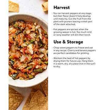 Burpee Jalapeno Early Organic Hot Pepper Seeds | 125 Non-GMO Jalapeno Pepper Garden Seeds for Planting | Heirloom Jalapeno Pepper Variety | Certified Organic Vegetable Seeds for Home Garden