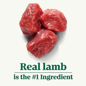 NUTRO NATURAL CHOICE Large Breed Adult Dry Dog Food, Lamb & Brown Rice Recipe, 40 lb. Bag