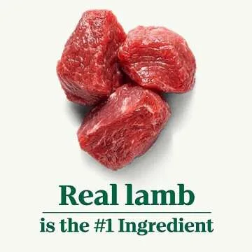 NUTRO NATURAL CHOICE Large Breed Adult Dry Dog Food, Lamb & Brown Rice Recipe, 40 lb. Bag