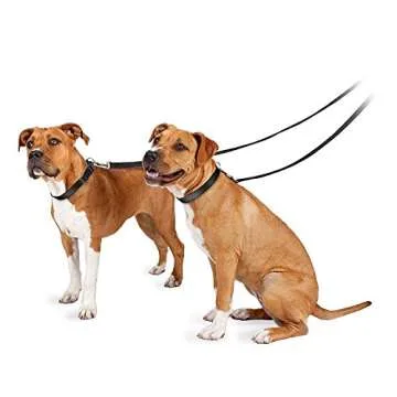 PetSafe Nylon Dog Leash – Strong, Durable 1x6 Leash for Pets