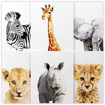 DecorShop Nursery Decor for Girls - Make Your Baby Boy and Girl Nursery Room Look Amazing - Enjoy Yo...