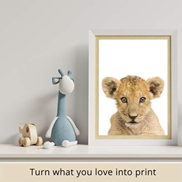 Beautiful Safari Animal Prints for Nursery Decor