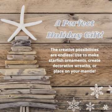 Starfish Decor - Star Fish for Craft - 10pk Real 4-6" Green Blue White Sea Stars - Beach Wedding Decor - Coastal Party Decorations - Seashell Decor