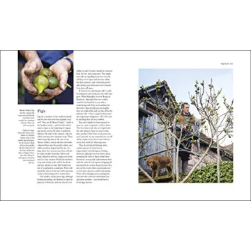 The Complete Gardener: Practical Guide for Garden Enthusiasts