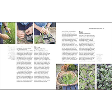 The Complete Gardener: Practical Guide for Garden Enthusiasts