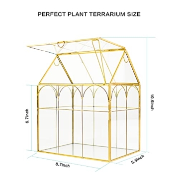 ZSE29847 Elegant Tall Glass Greenhouse Terrarium for Plants