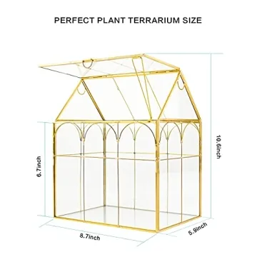ZSE29847 Elegant Tall Glass Greenhouse Terrarium for Plants
