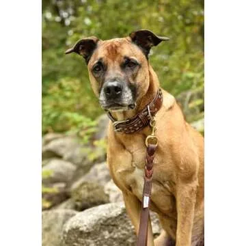 Stylish and Durable Genuine Leather Braided Dog Leash - Angel Pet Supplies | Multiple Sizes Availabl...