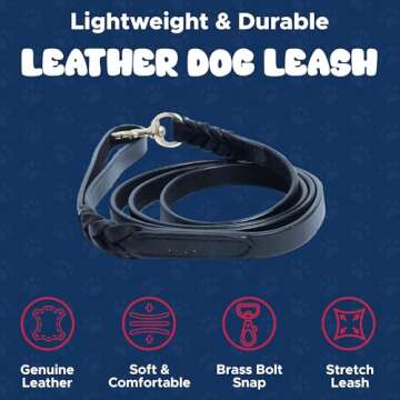 Genuine Leather Braided Dog Leash - Angel Pet Supplies