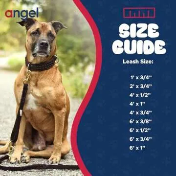 Genuine Leather Braided Dog Leash - Angel Pet Supplies