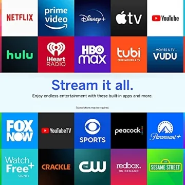 VIZIO 24-Inch Smart TV with AirPlay & Chromecast