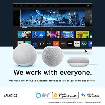 VIZIO 24-Inch Smart TV with AirPlay & Chromecast