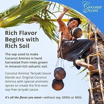 Coconut Secret Coconut Aminos Teriyaki Sauce 2-Pack - Healthy Flavor