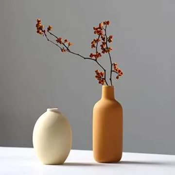 Abbittar Ceramic Vase Set of 3 for Elegant Home Decor