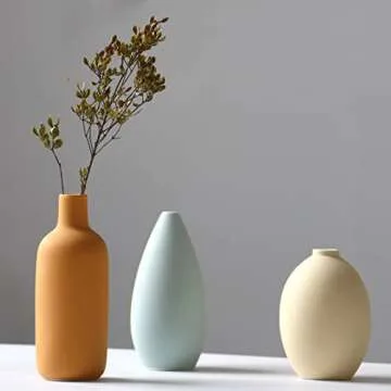 Abbittar Ceramic Vase Set of 3 for Elegant Home Decor