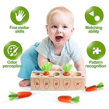 NAODONGLI Montessori Wooden Toys Carrot Harvest Game Preschool Educational Learning Fine Motor Skills Shape Size Matching Toys Birthday Easter Basket Stuffers Gift for Toddlers Ages 1-3