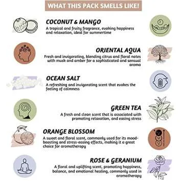 Folkulture Backflow Incense Cones - Set of 6 Unique Scents