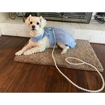 Cdycam Custom Pearls Beaded Pet Dog Leash 4ft