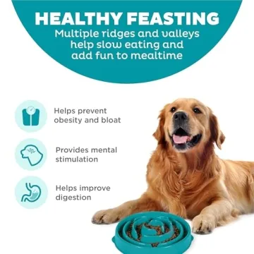 Outward Hound Fun Feeder Slo Bowl for Healthy Eating
