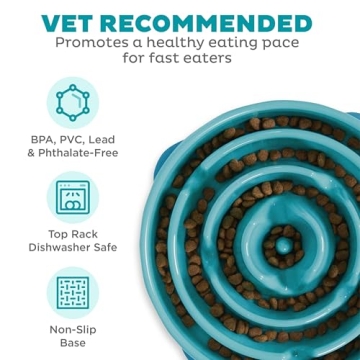 Outward Hound Fun Feeder Slo Bowl for Healthy Eating